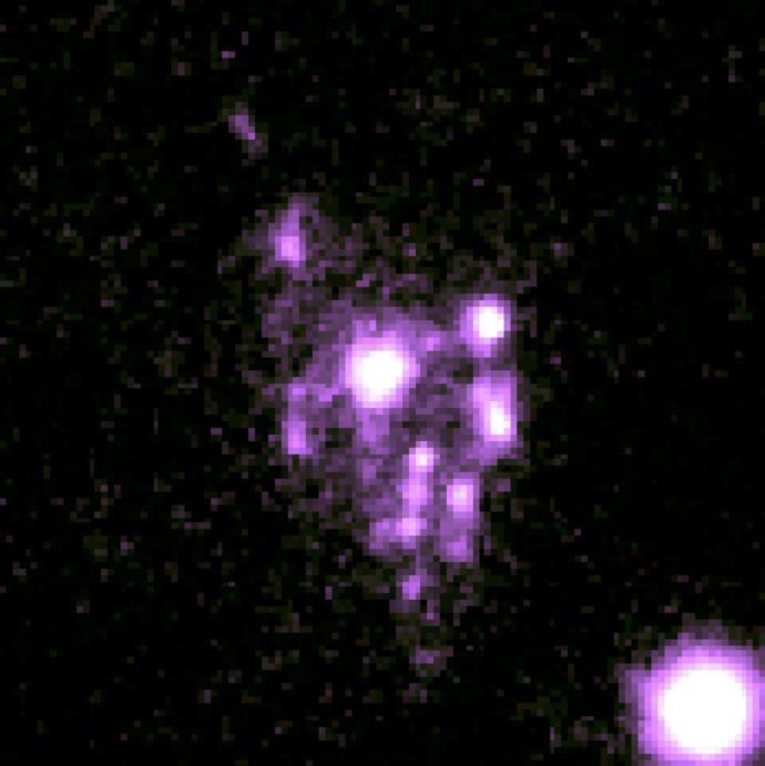 Cosmic Grapes