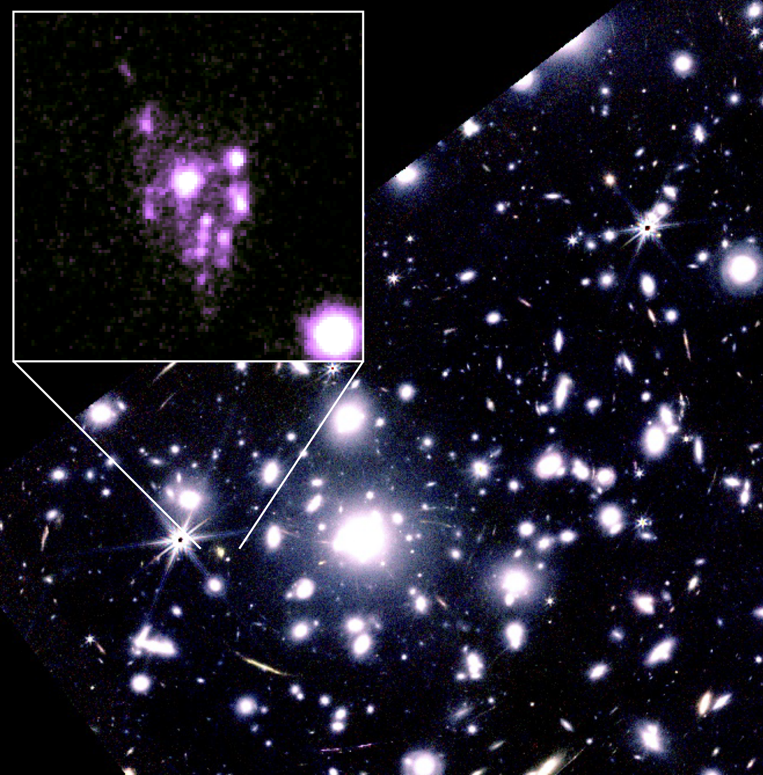 Cosmic Grapes